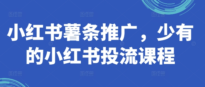 小红书薯条推广，少有的小红书投流课程-晟哥学社资源库