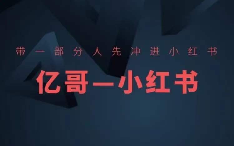 ​​带一部分人先冲进小红书，小红书开店、选品、爆款裂变-晟哥学社资源库