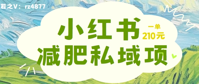 小红书减肥粉，私域变现项目，一单就达210元，小白也能轻松上手【揭秘】-晟哥学社资源库