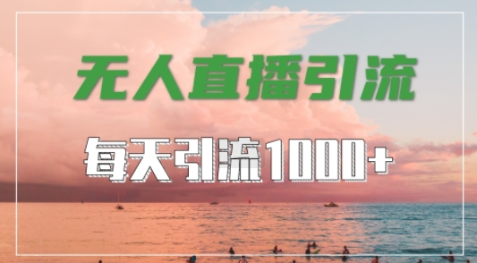 抖音快手视频号全平台通用，无人直播引流法，超暴力引流1000+高质量精准创业粉【揭秘】-晟哥学社资源库