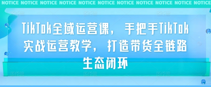 TikTok全域运营课，手把手TikTok实战运营教学，打造带货全链路生态闭环-晟哥学社资源库
