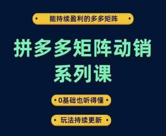 拼多多矩阵动销系列课，能持续盈利的多多矩阵，0基础也听得懂，玩法持续更新-晟哥学社资源库