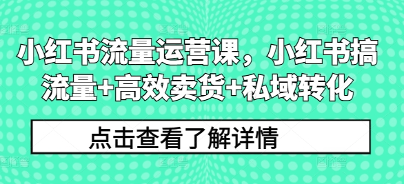 小红书流量运营课，小红书搞流量+高效卖货+私域转化-晟哥学社资源库