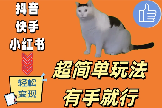 超简单玩法，有手就行，靠猫咪视频日入500+【揭秘】-晟哥学社资源库