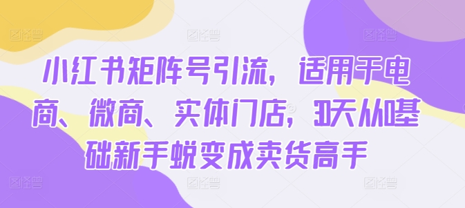 小红书矩阵号引流，适用于电商、微商、实体门店，30天从0基础新手蜕变成卖货高手-晟哥学社资源库