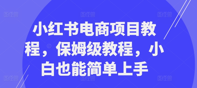 小红书电商项目教程，保姆级教程，小白也能简单上手-晟哥学社资源库
