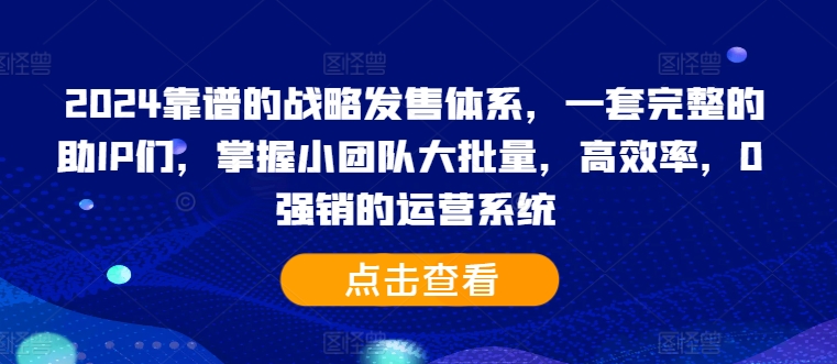 2024靠谱的战略发售体系，一套完整的助IP们，掌握小团队大批量，高效率，0 强销的运营系统-晟哥学社资源库