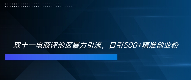 双十一电商评论区暴力引流，日引500+精准创业粉【揭秘】-晟哥学社资源库