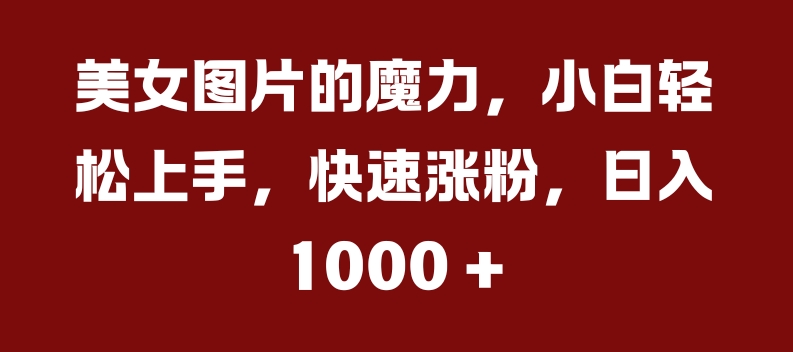 美女图片的魔力，小白轻松上手，快速涨粉，日入几张【揭秘】-晟哥学社资源库