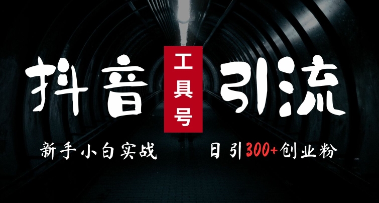 2024最新抖音工具号引流玩法，高效日引300+创业粉，当天变现5k，小白也可成为实战高手-晟哥学社资源库