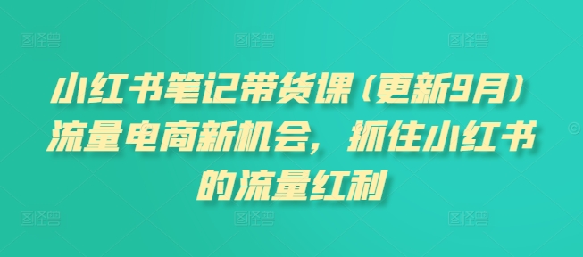 小红书笔记带货课(更新11月)流量电商新机会，抓住小红书的流量红利-晟哥学社资源库
