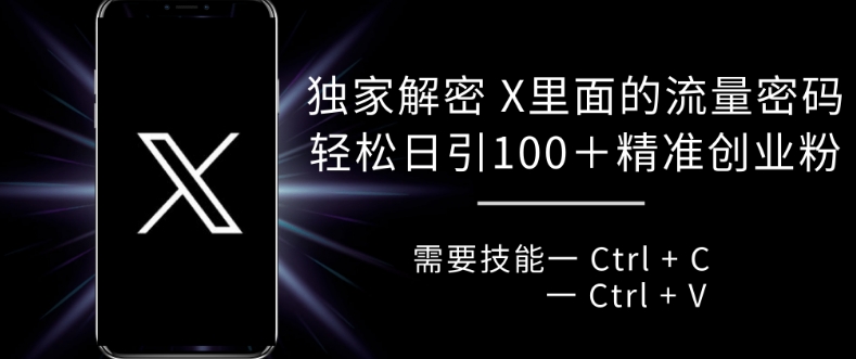 独家解密 X 里面的流量密码，复制粘贴轻松日引100+-晟哥学社资源库