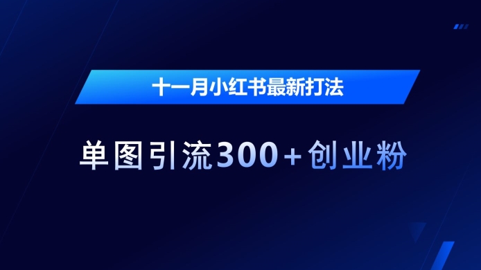 十一月小红书最新打法，单图引流300+创业粉【揭秘】-晟哥学社资源库