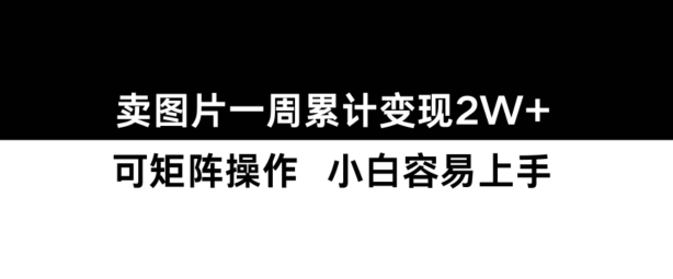 小红书【卖图片】一周累计变现2W+小白易上手-晟哥学社资源库