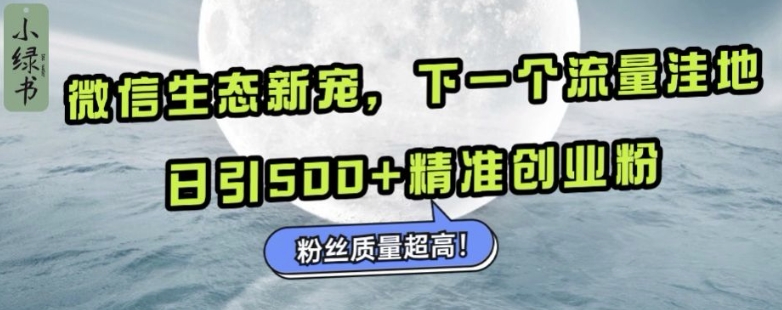 微信生态新宠小绿书：下一个流量洼地，日引500+精准创业粉，粉丝质量超高-晟哥学社资源库