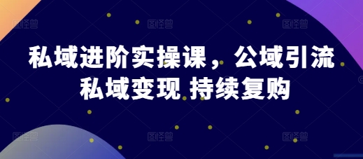 私域进阶实操课，公域引流 私域变现 持续复购-晟哥学社资源库