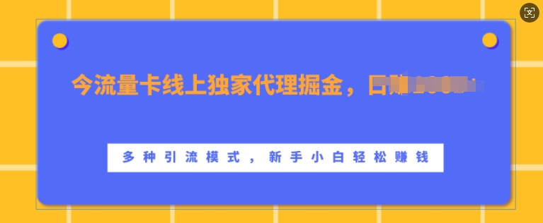 流量卡线上独家代理掘金，日入1k+ ，多种引流模式，新手小白轻松上手【揭秘】-晟哥学社资源库