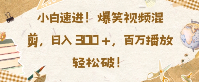 小白速进，爆笑视频混剪，日入3张，百万播放轻松破【揭秘】-晟哥学社资源库