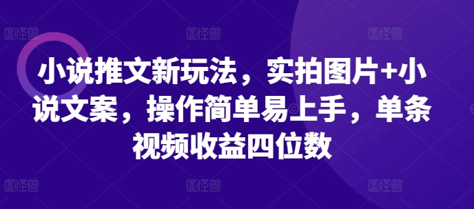 小说推文新玩法，实拍图片+小说文案，操作简单易上手，单条视频收益四位数-晟哥学社资源库