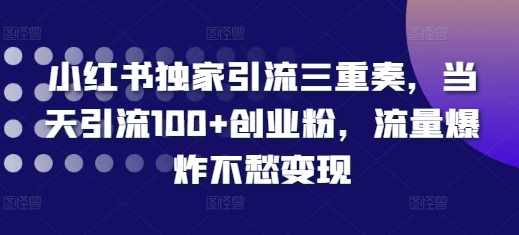 小红书独家引流三重奏，当天引流100+创业粉，流量爆炸不愁变现【揭秘】-晟哥学社资源库