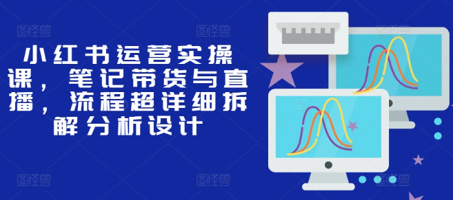 小红书运营实操课，笔记带货与直播，流程超详细拆解分析设计-晟哥学社资源库