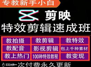 剪映特效教程和运营变现教程，特效剪辑速成班，专教新手小白-晟哥学社资源库