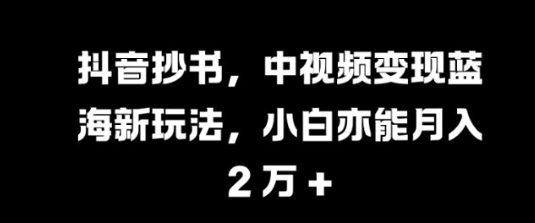 抖音抄书，中视频变现蓝海新玩法，小白亦能月入 过W【揭秘】-晟哥学社资源库