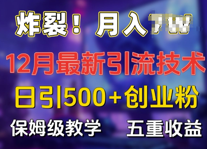 炸裂!揭秘12月最新日引流500+精准创业粉，多重收益保姆级教学-晟哥学社资源库