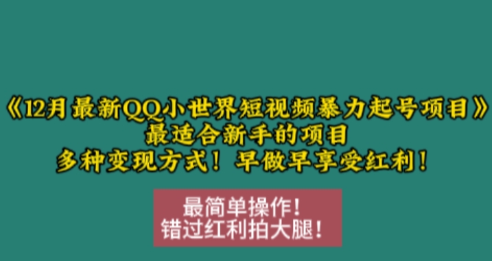 12月最新QQ小世界短视频暴力起号项目，最适合新手的项目，多种变现方式-晟哥学社资源库