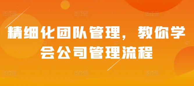 精细化团队管理，教你学会公司管理流程-晟哥学社资源库