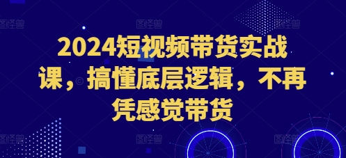 2024短视频带货实战课，搞懂底层逻辑，不再凭感觉带货-晟哥学社资源库