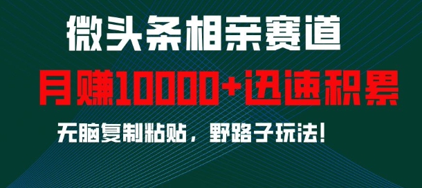 微头条相亲赛道，迅速积累，无脑复制粘贴，野路子玩法，月入1w-晟哥学社资源库