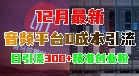 12月最新：音频平台0成本引流，日引流300+精准创业粉-晟哥学社资源库