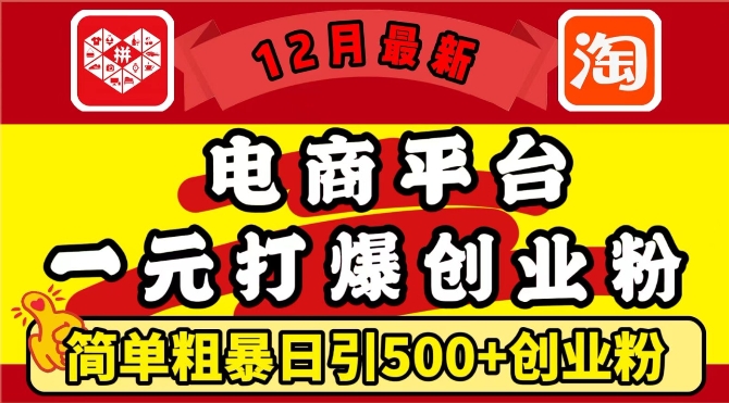 12月最新：电商平台1元打爆创业粉，简单粗暴日引500+精准创业粉，轻松月入过W【揭秘】-晟哥学社资源库