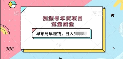 视频号年货项目，流量贼猛，早布局早挣钱，日入上k【揭秘】-晟哥学社资源库