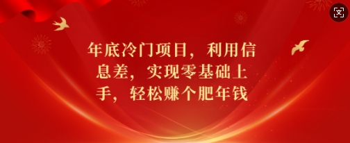 年底冷门项目，利用信息差，实现零基础上手，轻松赚个肥年钱【揭秘】-晟哥学社资源库