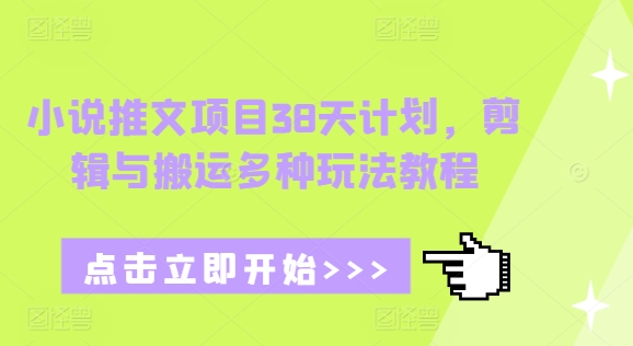 小说推文项目38天计划，剪辑与搬运多种玩法教程-晟哥学社资源库