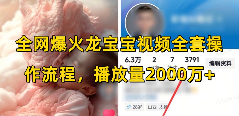 全网爆火龙宝宝视频全套操作流程，播放量2000万+-晟哥学社资源库