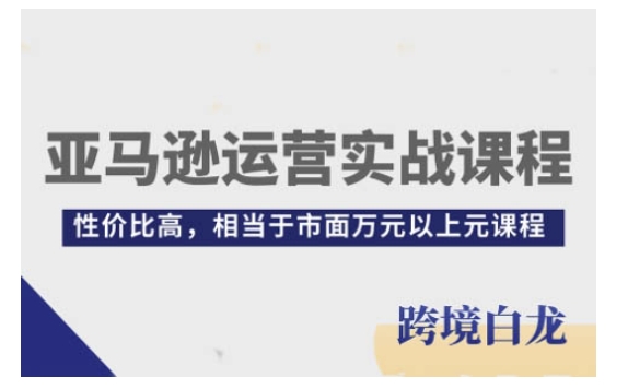 亚马逊运营实战课程，亚马逊从入门到精通，性价比高，相当于市面万元以上元课程-晟哥学社资源库