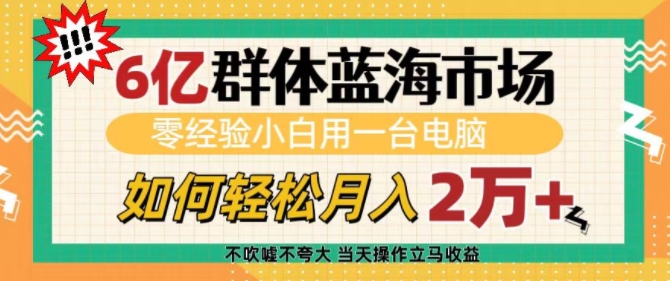 6亿群体蓝海市场，零经验小白用一台电脑，如何轻松月入过w【揭秘】-晟哥学社资源库
