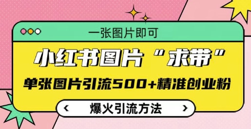 小红书图片‘求带’爆火引流法，单张图片引流500+精准创业粉【揭秘】-晟哥学社资源库