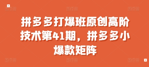 拼多多打爆班原创高阶技术第41期，拼多多小爆款矩阵-晟哥学社资源库