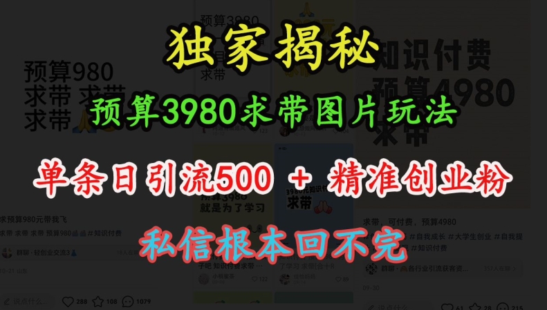 预算3980求带 图片玩法，单条日引流500+精准创业粉，私信根本回不完-晟哥学社资源库