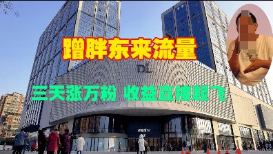蹭胖东来流量，三天涨万粉，收益直接起飞-晟哥学社资源库