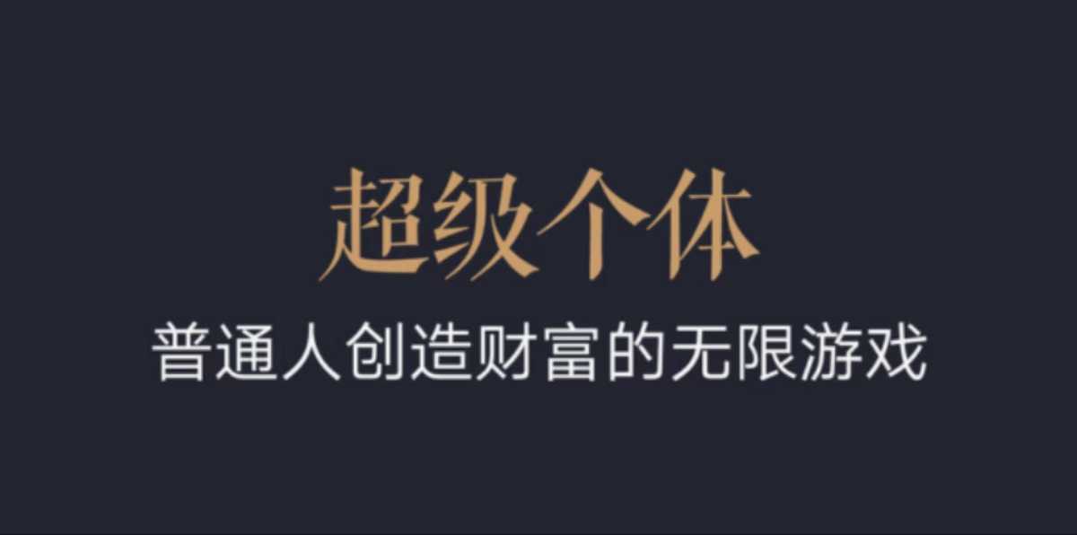 超级个体：2024-2025翻盘指南，普通人创造财富的无限游戏-晟哥学社资源库