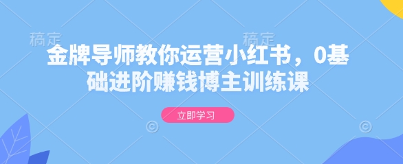 金牌导师教你运营小红书，0基础进阶赚钱博主训练课-晟哥学社资源库