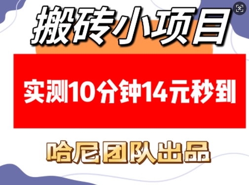 搬砖小项目，实测10分钟14元秒到，每天稳定几张(赠送必看稳定)-晟哥学社资源库