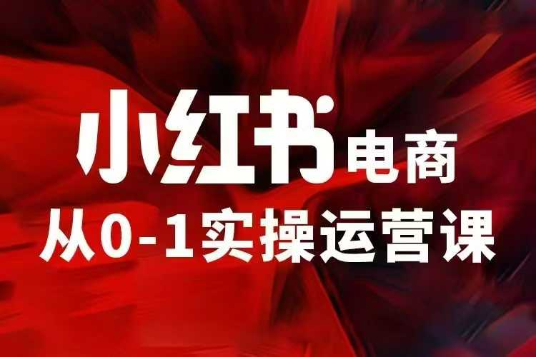 小红书电商运营，97节小红书vip内部课，带你实现小红书赚钱-晟哥学社资源库