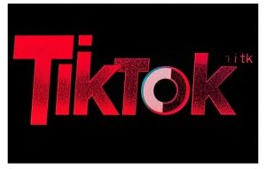 TikTok ads投流秘籍,涵盖tiktok整体投放思路,教你搭建测试计划-晟哥学社资源库