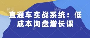 直通车实战系统:低成本询盘增长课,让个人通过技能实现升职加薪,让企业低成本获客,订单源源不断-晟哥学社资源库